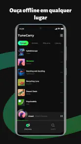 TuneCarry: Música offline screenshot