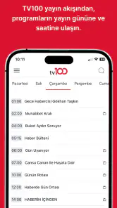 tv100 screenshot
