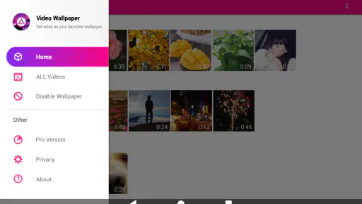 Vídeo Papel de Parede ao Vivo screenshot
