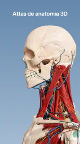 VOKA 3D Anatomia e Patologia screenshot