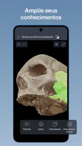 VOKA 3D Anatomia e Patologia screenshot