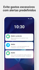Wallet - Finanças Pessoais screenshot