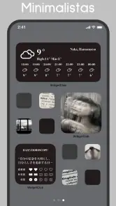 WidgetClub:Tema, Widget, Ícone screenshot