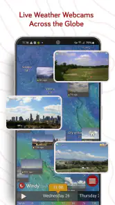 Windy.com - Previsão do tempo screenshot