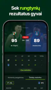 Žalgiris screenshot