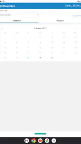 zamowposilek.pl screenshot