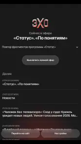 Эхо online screenshot