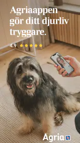 Agria screenshot