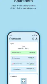 Bank Norwegian screenshot
