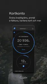 CarPay screenshot