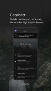 CarPay screenshot