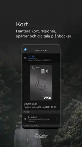 CarPay screenshot