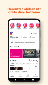 Epassi Nordics screenshot