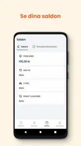 Epassi Nordics screenshot