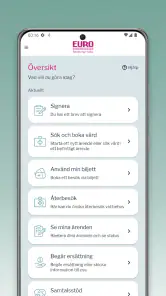 Euro Accident Sverige screenshot