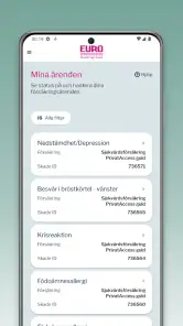 Euro Accident Sverige screenshot