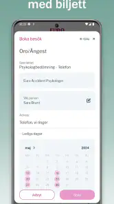 Euro Accident Sverige screenshot