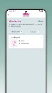 Euro Accident Sverige screenshot