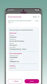 Euro Accident Sverige screenshot