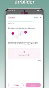 Euro Accident Sverige screenshot