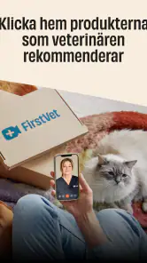 FirstVet - Veterinär i mobilen screenshot
