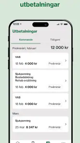 Försäkringskassan screenshot