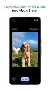 Google Foto screenshot