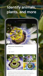 Google Lens screenshot