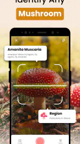 Identifiera Svampguiden App screenshot