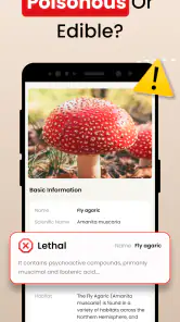 Identifiera Svampguiden App screenshot