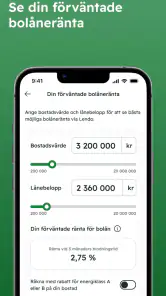 Kreddy - se ditt kreditbetyg screenshot