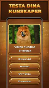 Kunskapens Träd: Trivia Blocks screenshot