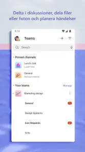 Microsoft Teams screenshot