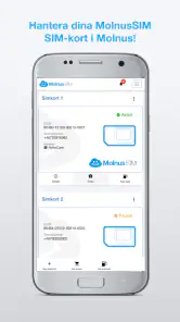Molnus screenshot