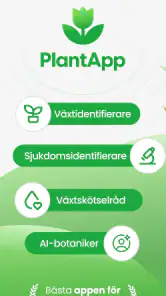 PlantApp – Identifiera växter screenshot