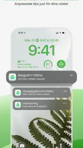 PlantApp – Identifiera växter screenshot