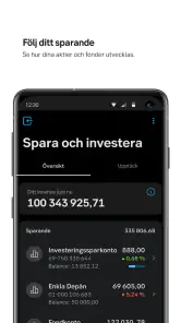 SEB screenshot