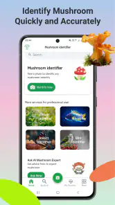 Svampidentifierare screenshot
