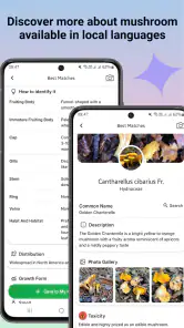 Svampidentifierare screenshot