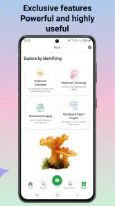 Svampidentifierare screenshot
