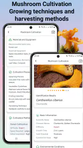 Svampidentifierare screenshot