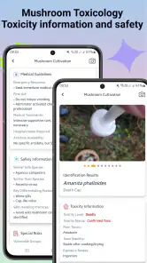 Svampidentifierare screenshot