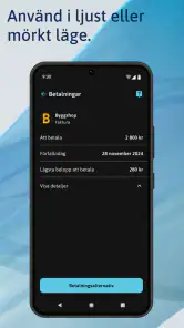 Svea Pay screenshot