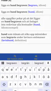 Svensk ordbok screenshot