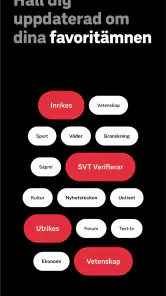 SVT Nyheter screenshot