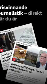 SVT Nyheter screenshot