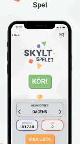 Ta Körkort screenshot