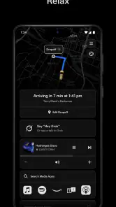 Tesla Robotaxi screenshot