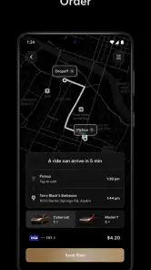 Tesla Robotaxi screenshot