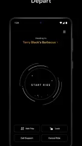Tesla Robotaxi screenshot